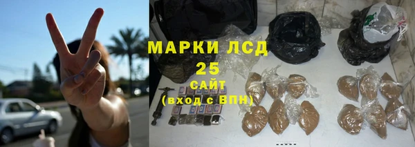 стаф Аркадак
