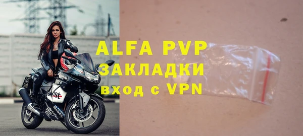 стаф Аркадак