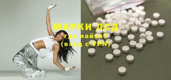 стаф Аркадак