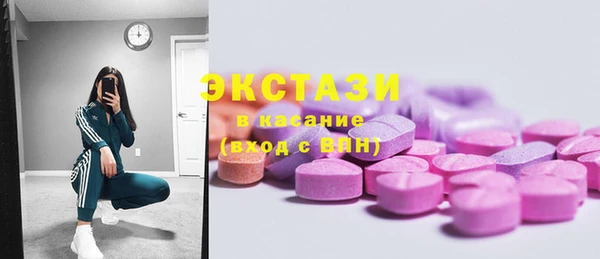 стаф Аркадак