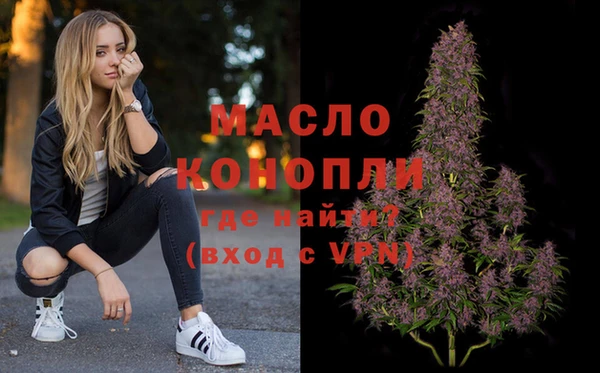 стаф Аркадак