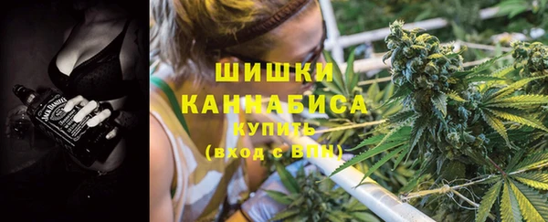 ешки Арсеньев